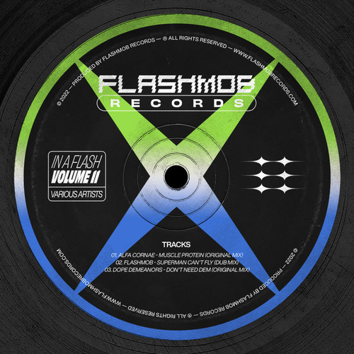 VA - In A Flash, Vol. 11 [FMR232]